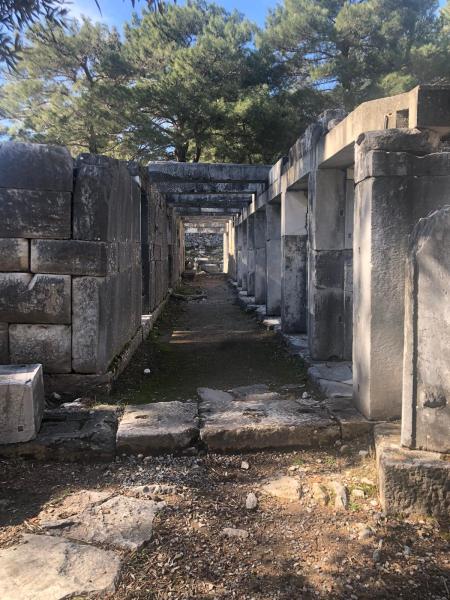 Priene Antik Kenti Arkeopolis |  Günübirlik Kültür Turları