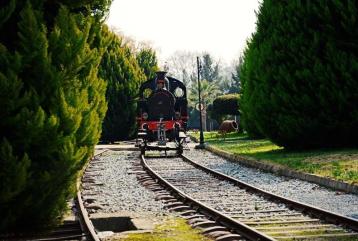 Çamlık Open Air and Train Museum | Izmir Selcuk Transfer