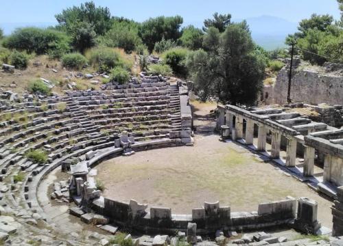Private - Priene, Miletus and Didyma Full-Day Tour - 4