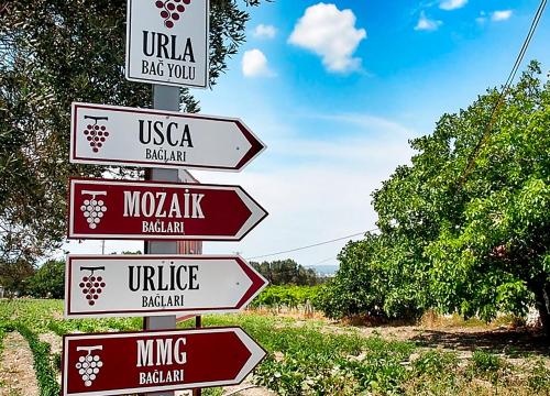 Private - Daily Urla Tour - 6