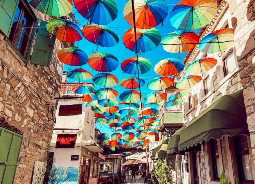 Private - Daily Urla Tour - 2