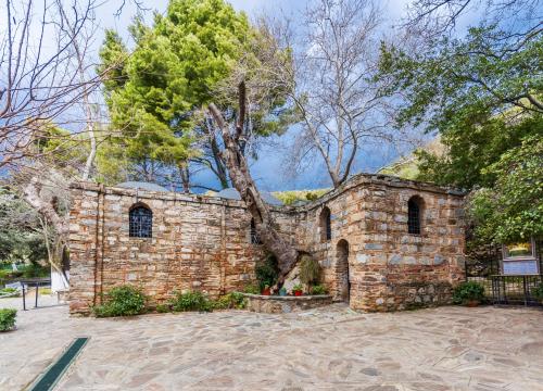PRIVATE - Ephesus Tour from Izmir Cruise Port - 1